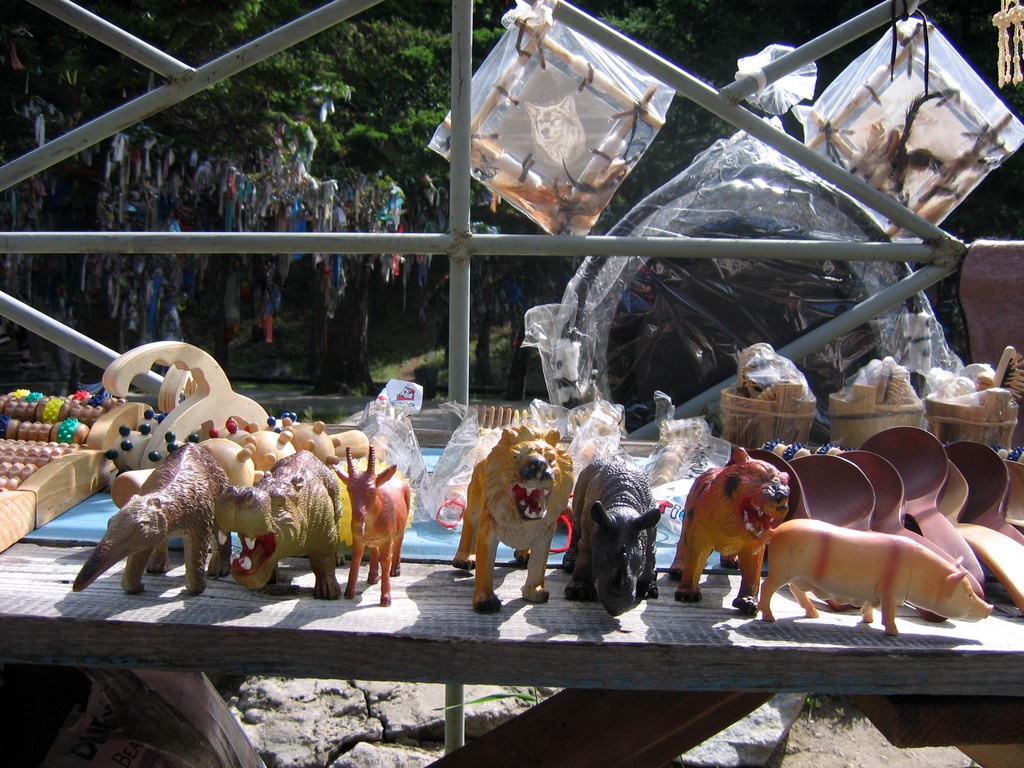 Аршан, Тункинская долина, Бурятия. Июль 2009