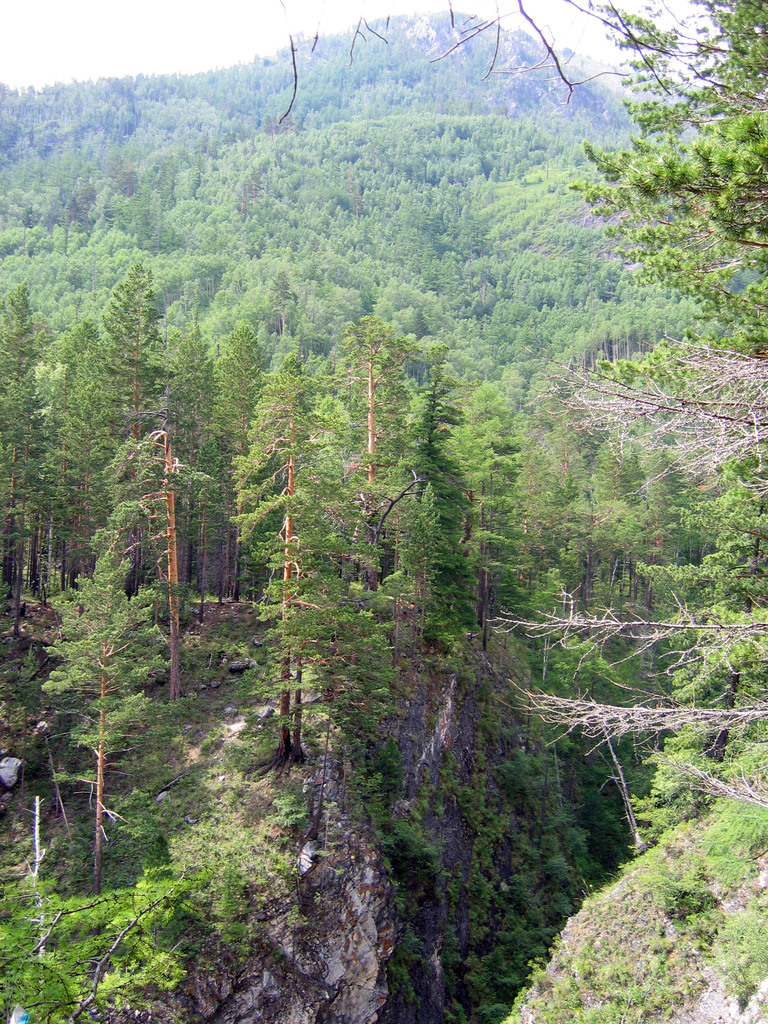 Аршан, Тункинская долина, Бурятия. Июль 2009