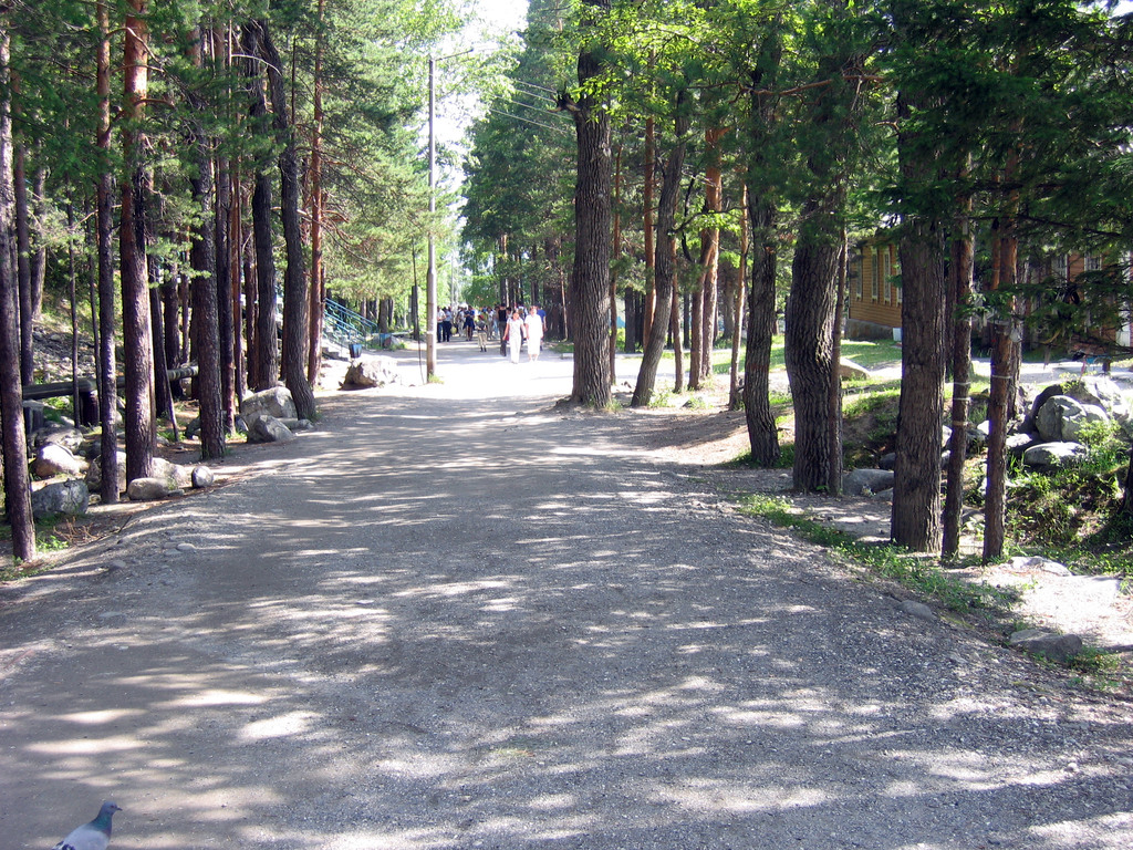 Аршан, Тункинская долина, Бурятия. Июль 2009