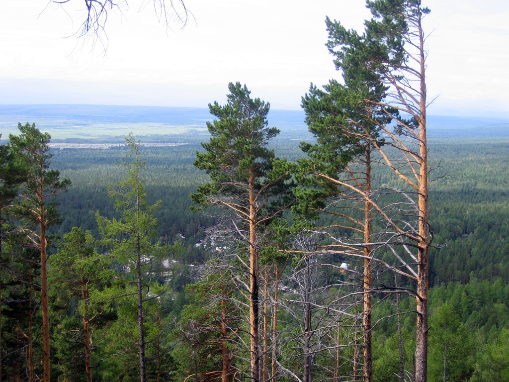 Аршан, Тункинская долина, Бурятия. Июль 2009