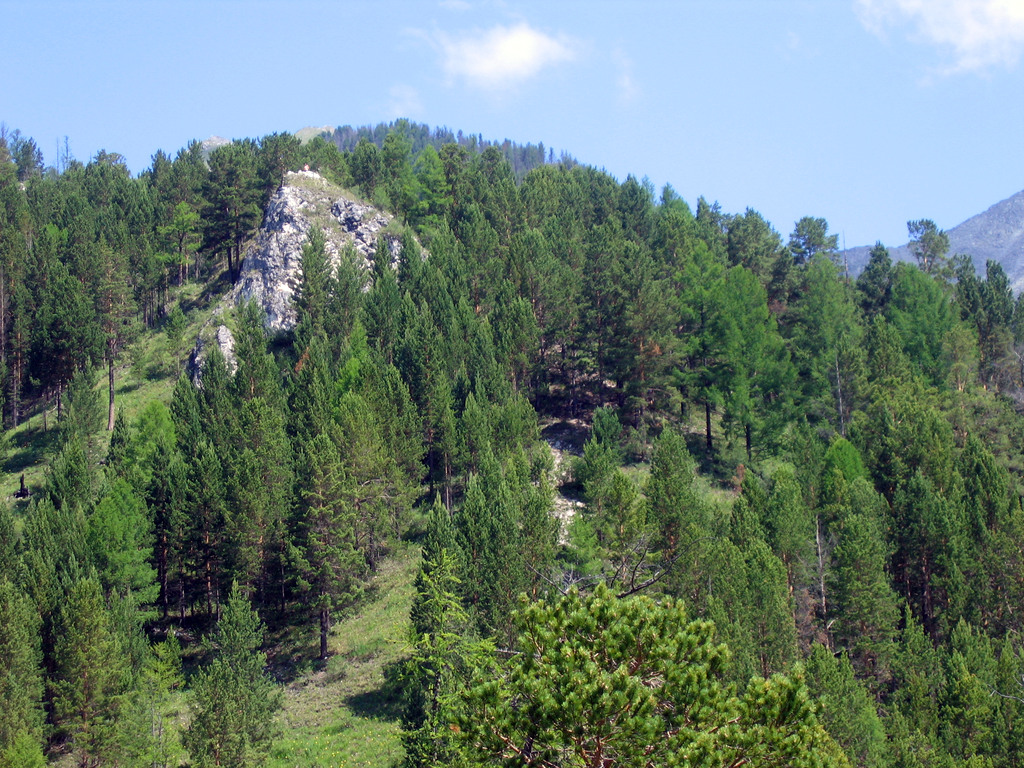 Аршан, Тункинская долина, Бурятия. Июль 2009