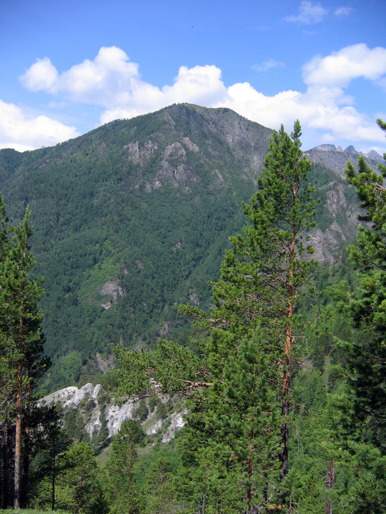 Аршан, Тункинская долина, Бурятия. Июль 2009