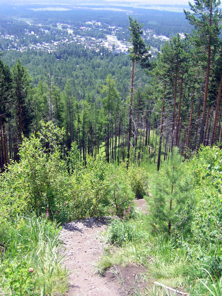 Аршан, Тункинская долина, Бурятия. Июль 2009