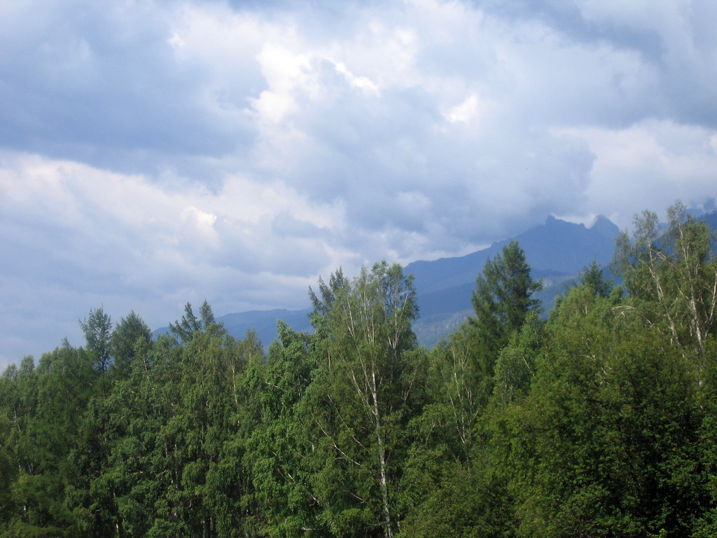 Аршан, Тункинская долина, Бурятия. Июль 2009