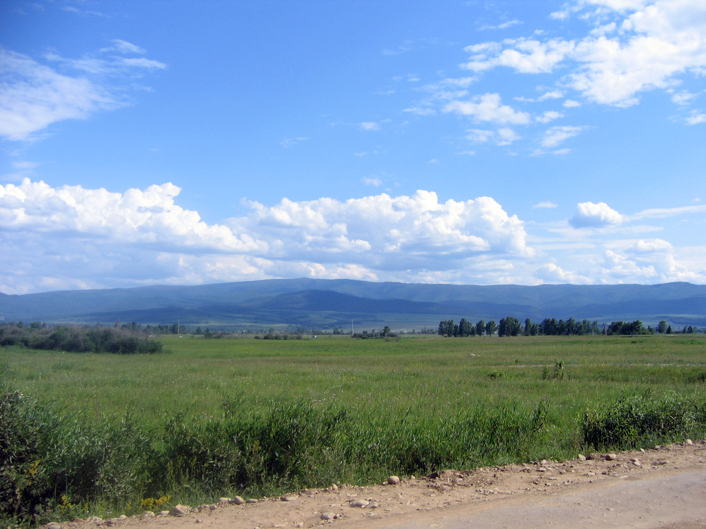 Аршан, Тункинская долина, Бурятия. Июль 2009