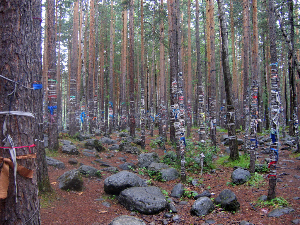 Аршан, Тункинская долина, Бурятия. Июль 2009