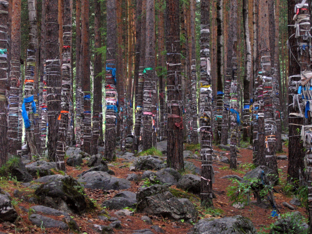 Аршан, Тункинская долина, Бурятия. Июль 2009