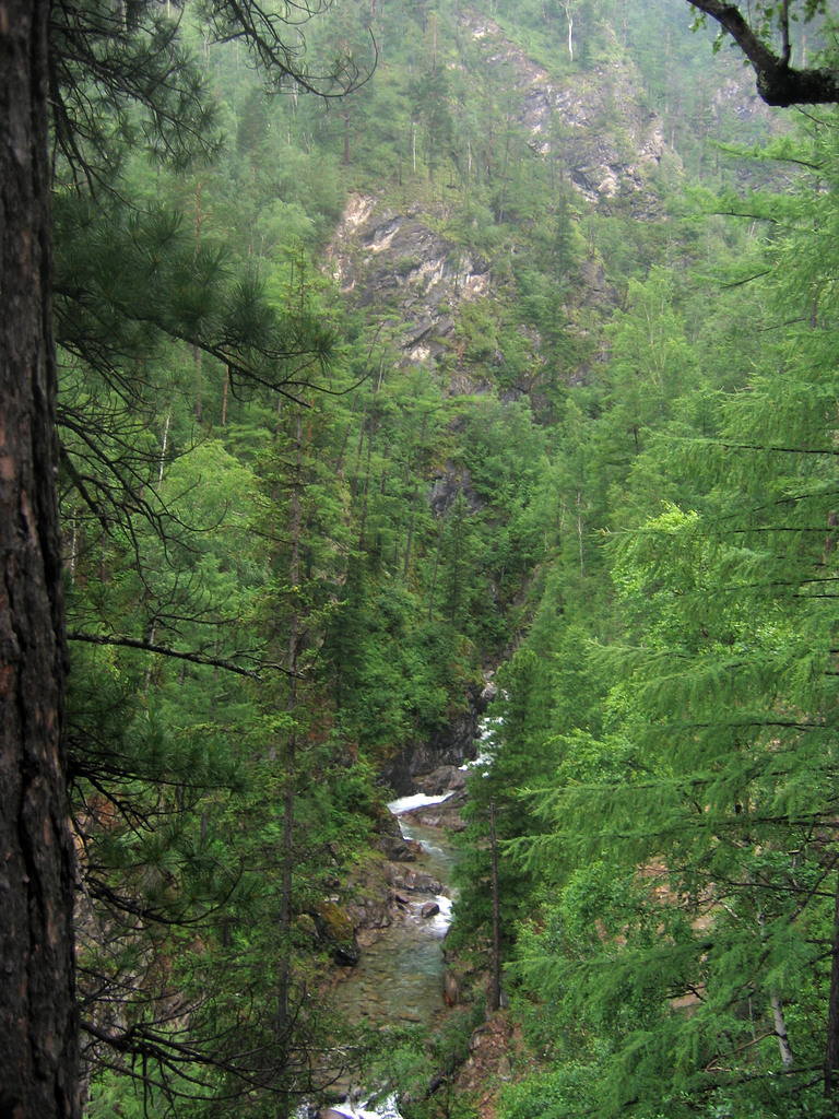 Аршан, Тункинская долина, Бурятия. Июль 2009