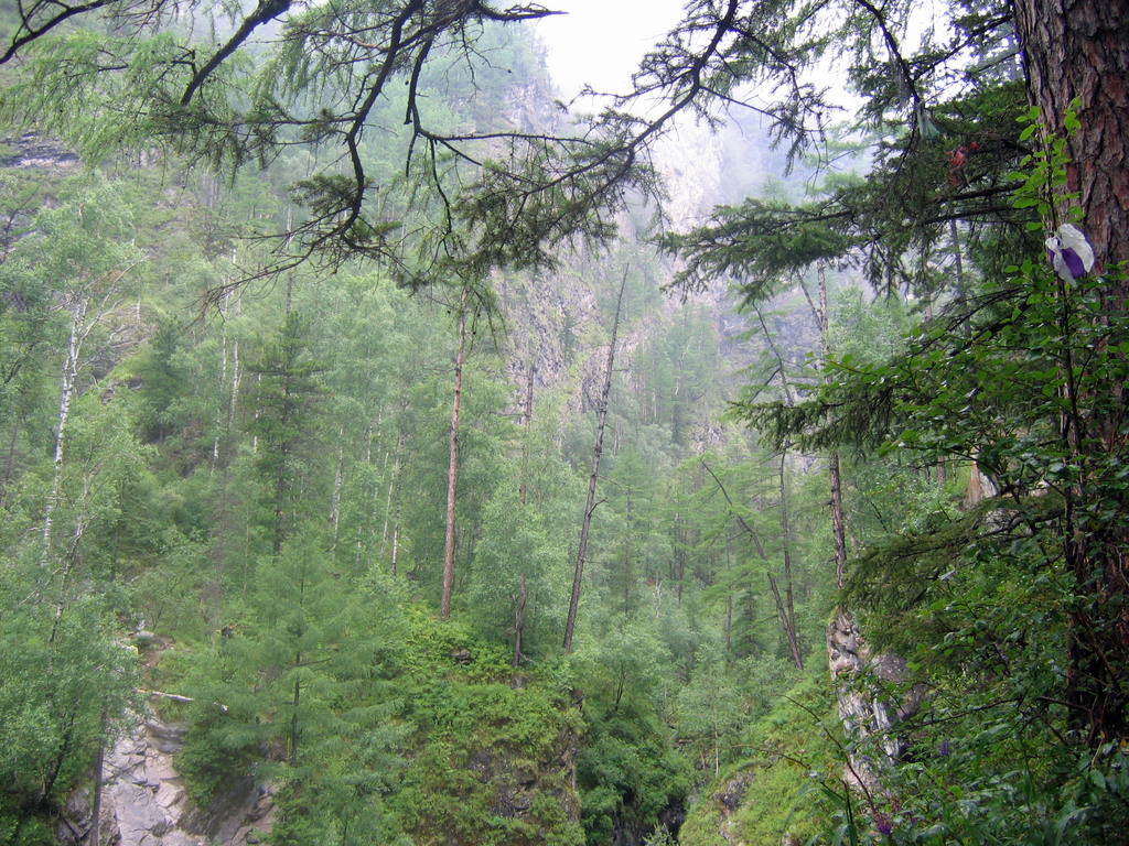 Аршан, Тункинская долина, Бурятия. Июль 2009