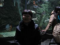beijing_aquarium36.jpg
