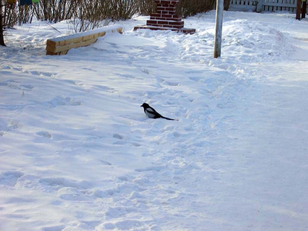 Иволгинский дацан. Январь 2006