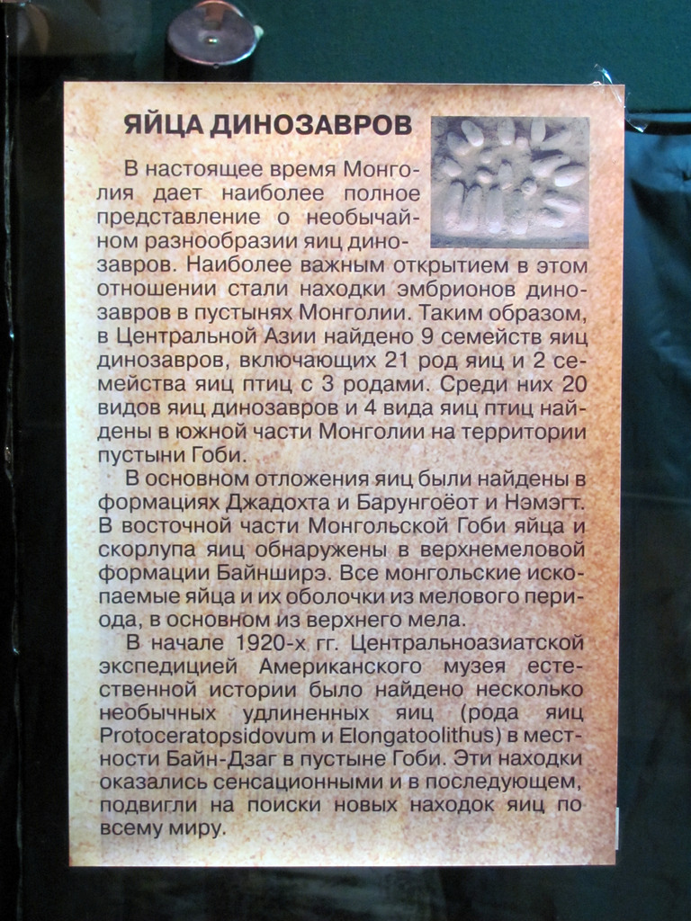 Выставка в Улан-Удэ «Эра динозавров»