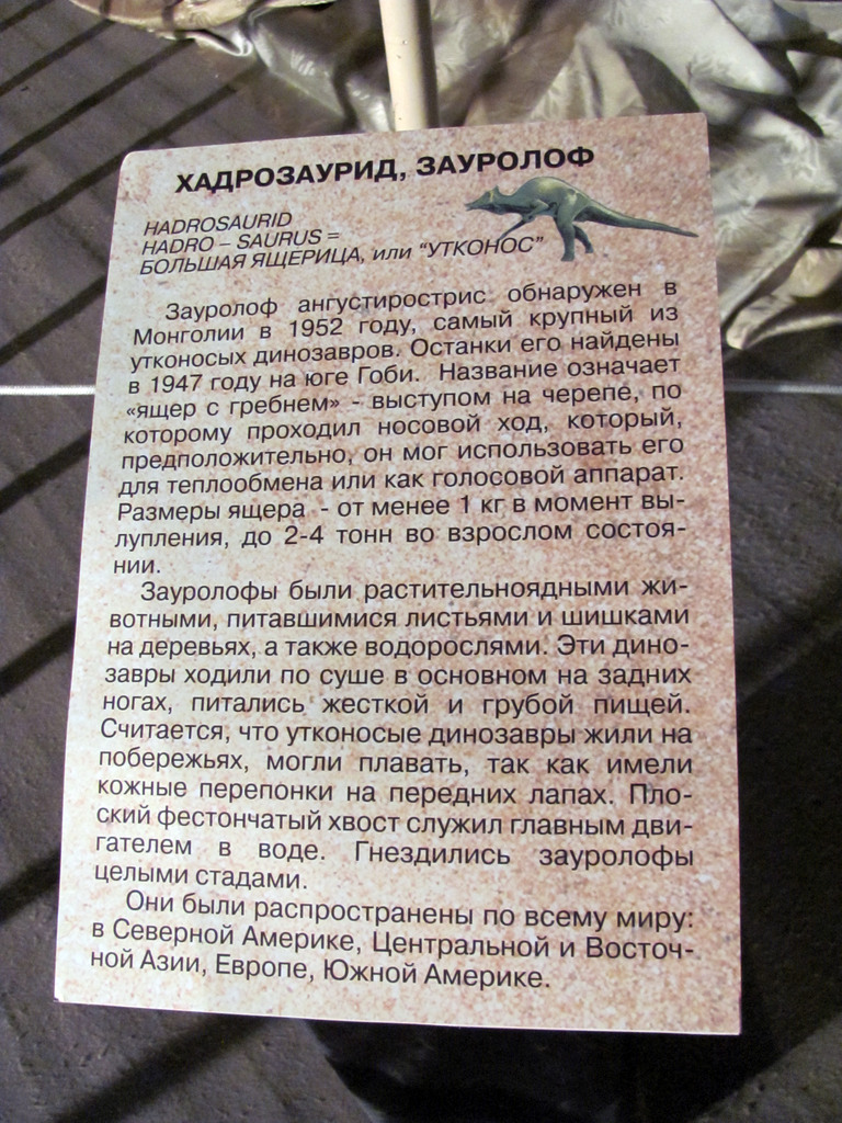 Выставка в Улан-Удэ «Эра динозавров»