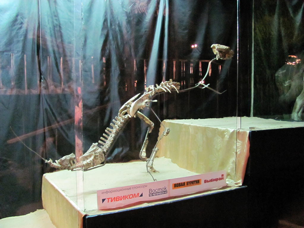Выставка в Улан-Удэ «Эра динозавров»