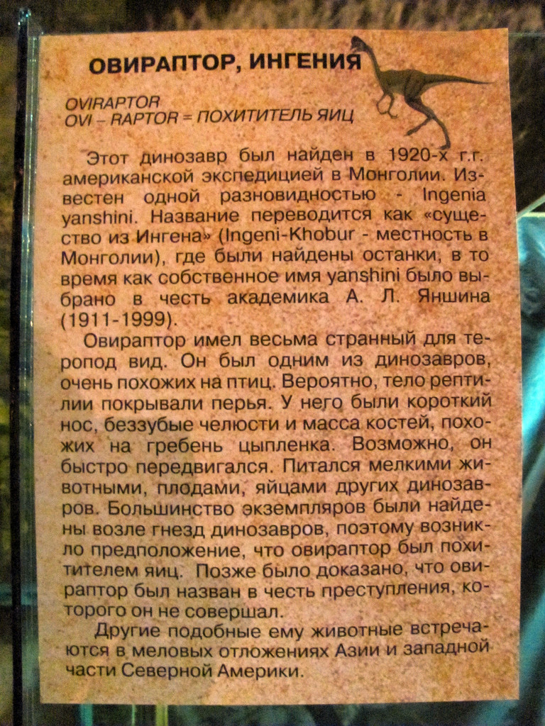 Выставка в Улан-Удэ «Эра динозавров»