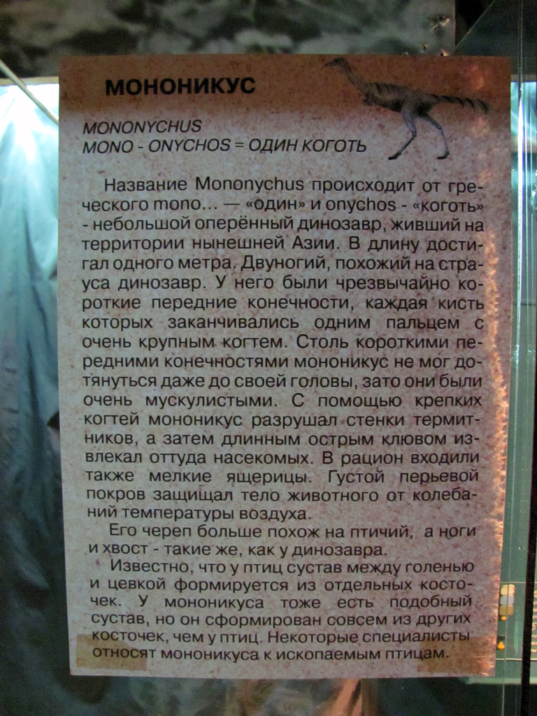 Выставка в Улан-Удэ «Эра динозавров»