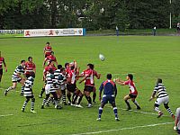 rugby_junior_trophy_63.jpg