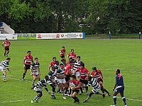 rugby_junior_trophy_64.jpg