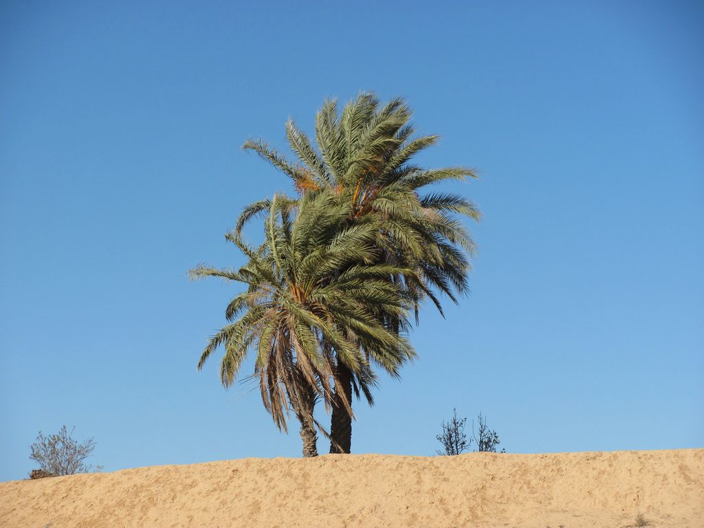 Тунис. Берберский район. Январь 2011