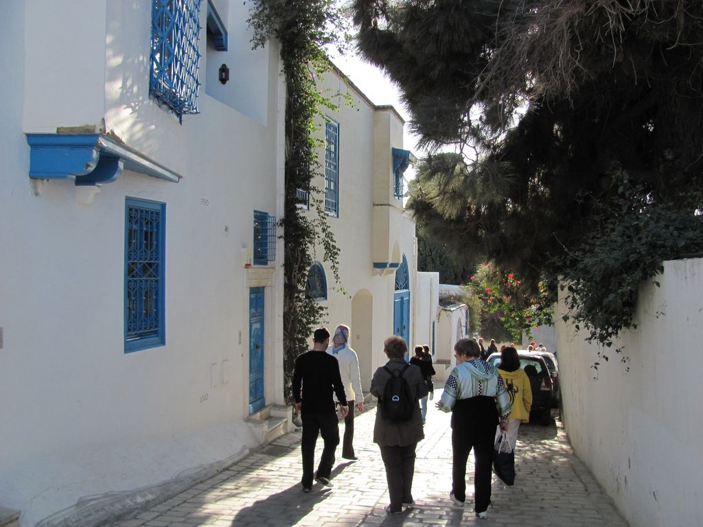 Тунис и Карфаген. Январь 2011