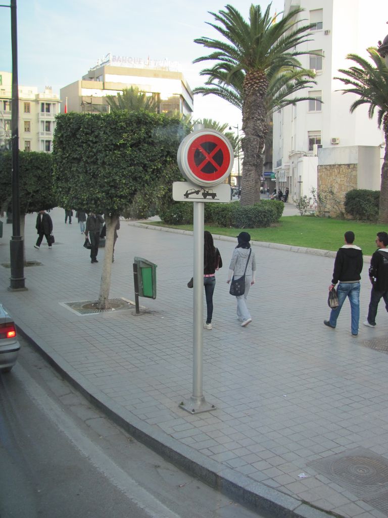 Тунис и Карфаген. Январь 2011