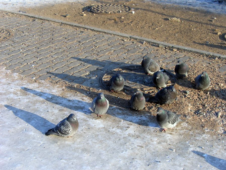 Улан-Удэ 2009