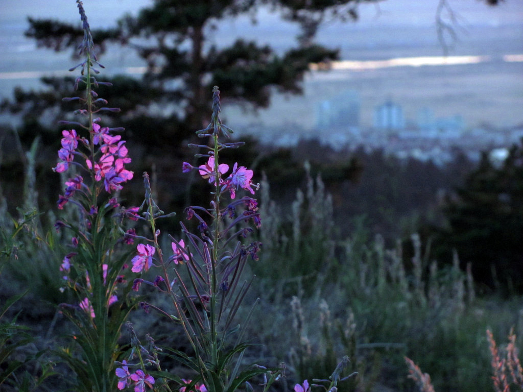 Фотографии Улан-Удэ. Июль 2010