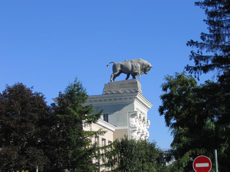 vvc13_1.jpg