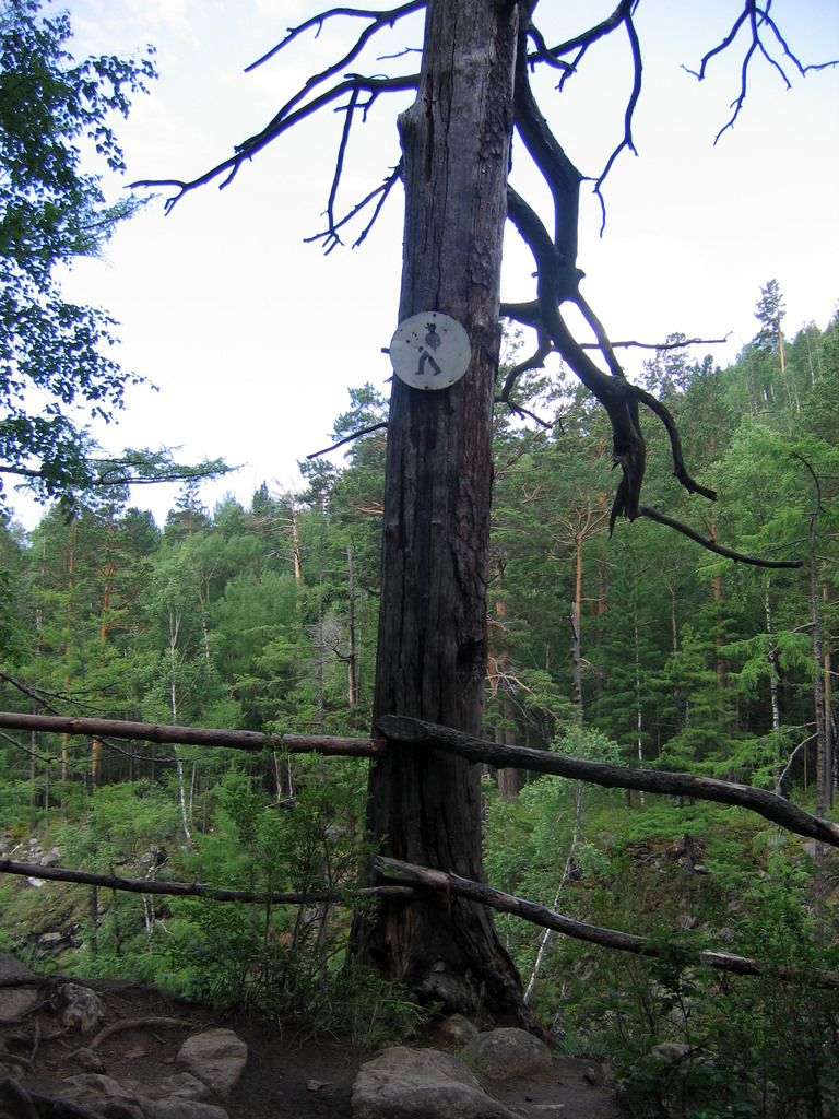 Аршан, Тункинская долина, Бурятия. Июль 2009