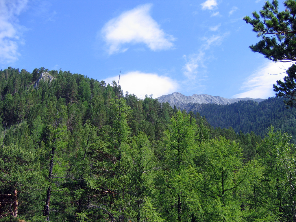 Аршан, Тункинская долина, Бурятия. Июль 2009