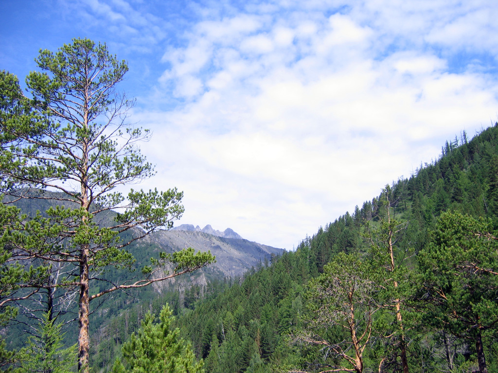 Аршан, Тункинская долина, Бурятия. Июль 2009