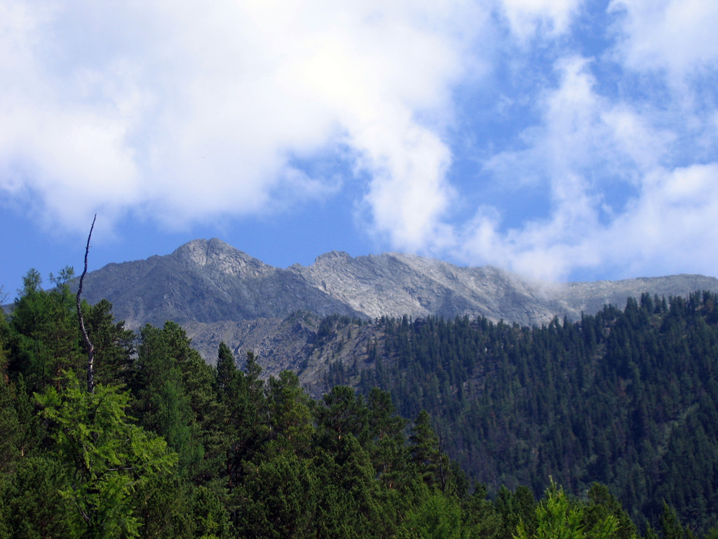 Аршан, Тункинская долина, Бурятия. Июль 2009