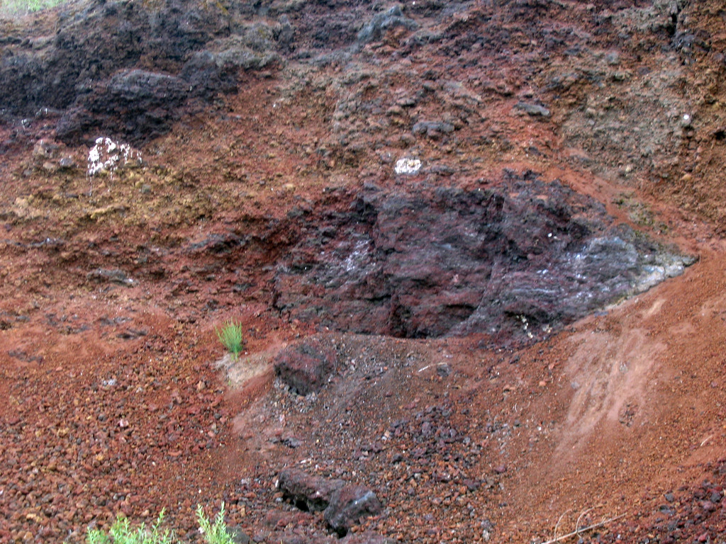 Аршан, Тункинская долина, Бурятия. Июль 2009