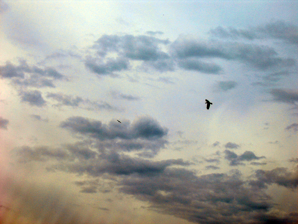 Аршан, Тункинская долина, Бурятия. Июль 2009