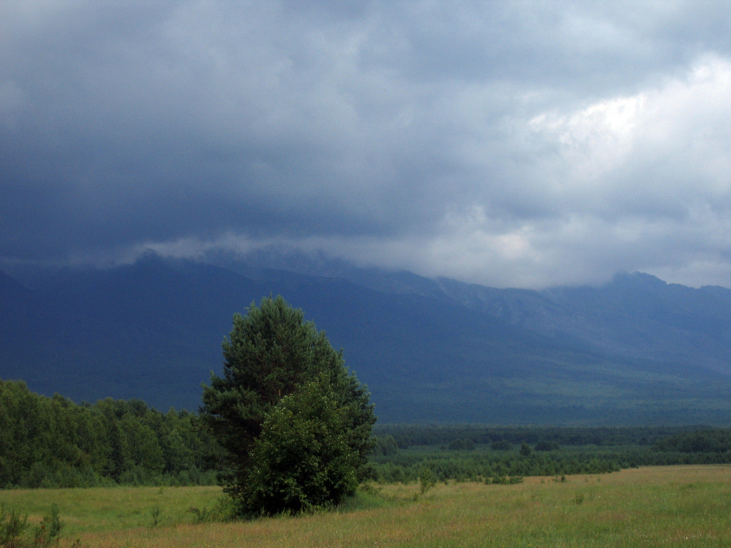 Аршан, Тункинская долина, Бурятия. Июль 2009