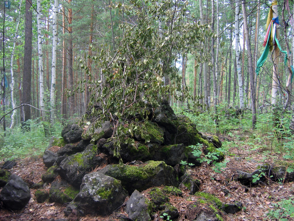 Аршан, Тункинская долина, Бурятия. Июль 2009