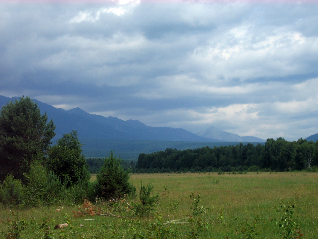 Аршан, Тункинская долина, Бурятия. Июль 2009