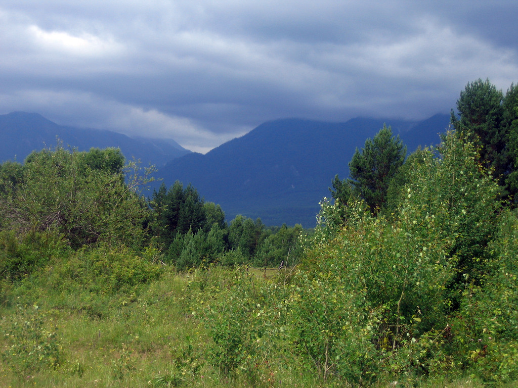 Аршан, Тункинская долина, Бурятия. Июль 2009