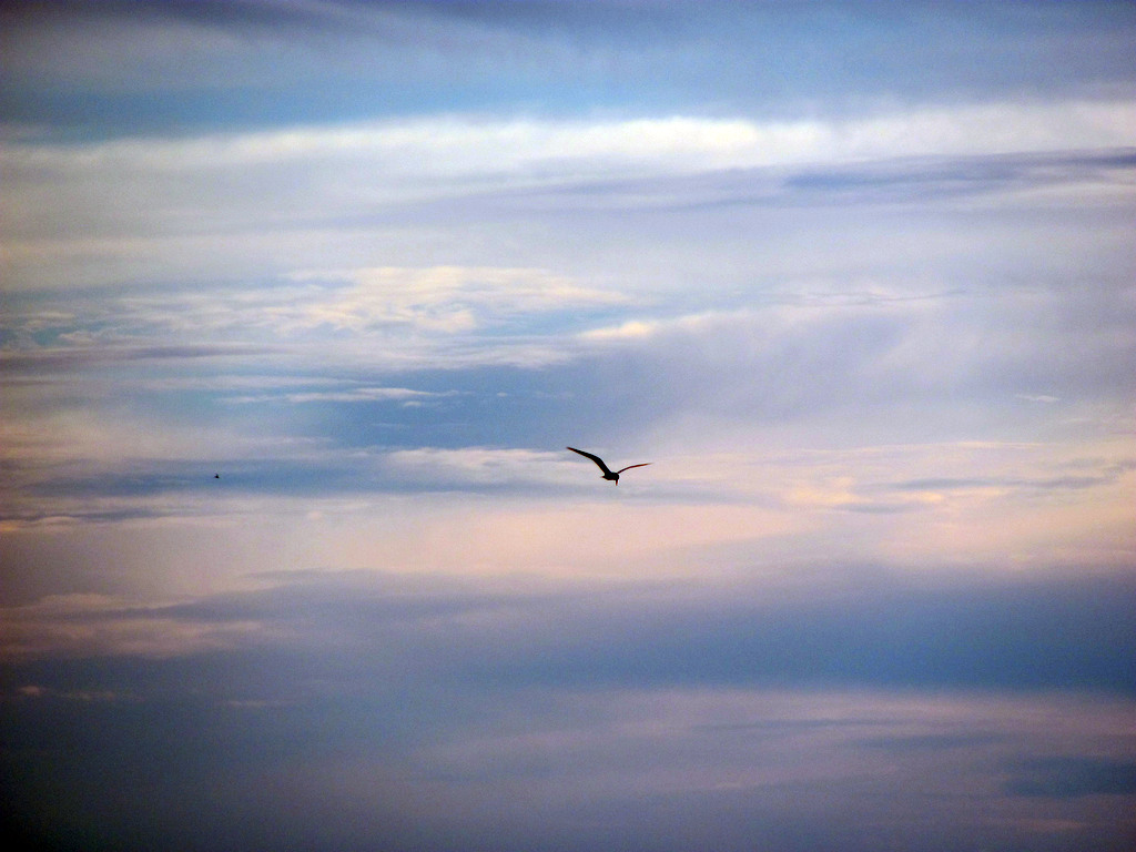 Байкал. Село Сухая. Июль 2010