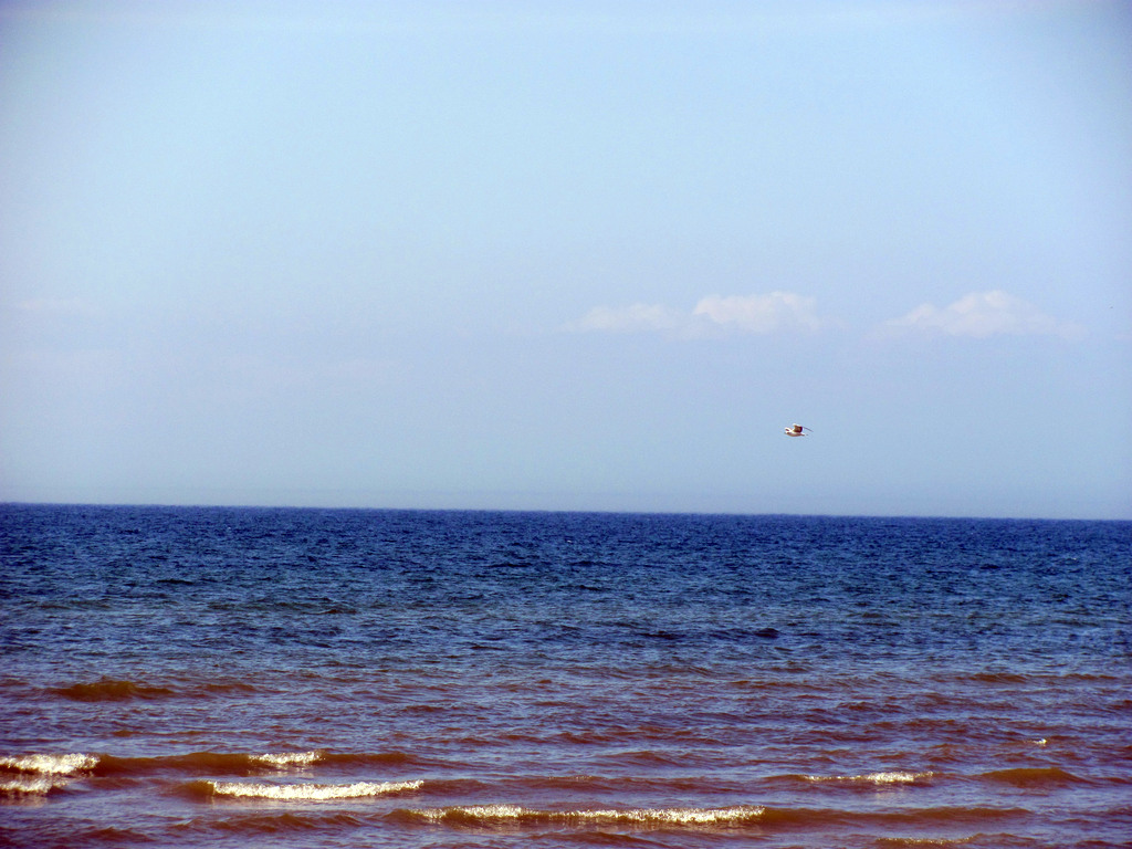 Байкал. Село Сухая. Июль 2010