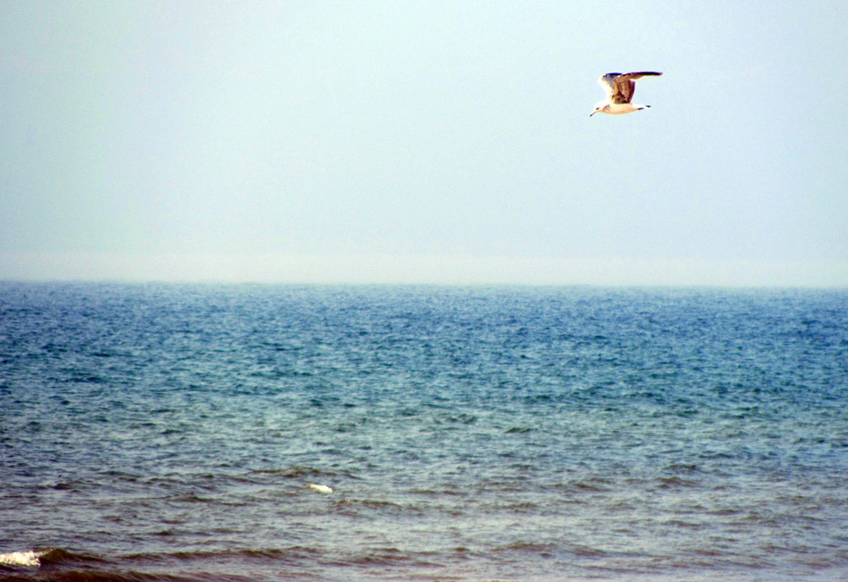 Байкал. Село Сухая. Июль 2010