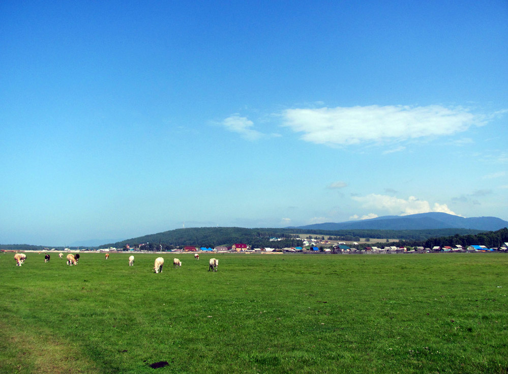 Байкал. Село Сухая. Июль 2010