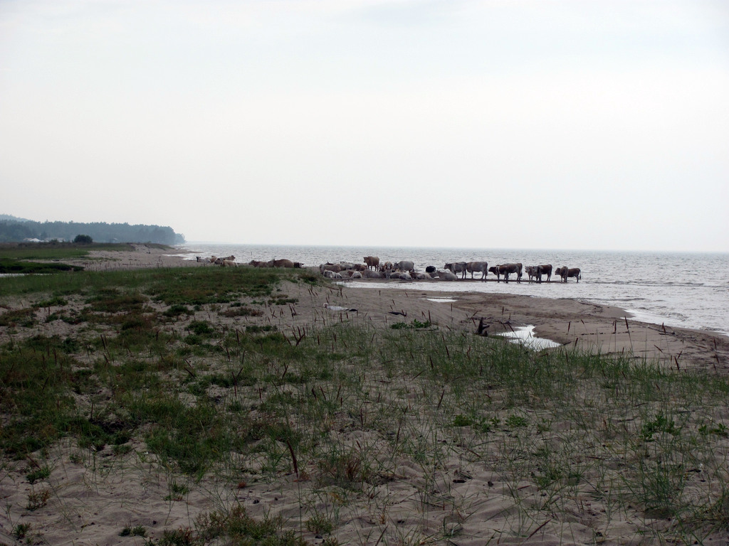 Байкал. Село Сухая. Июль 2010