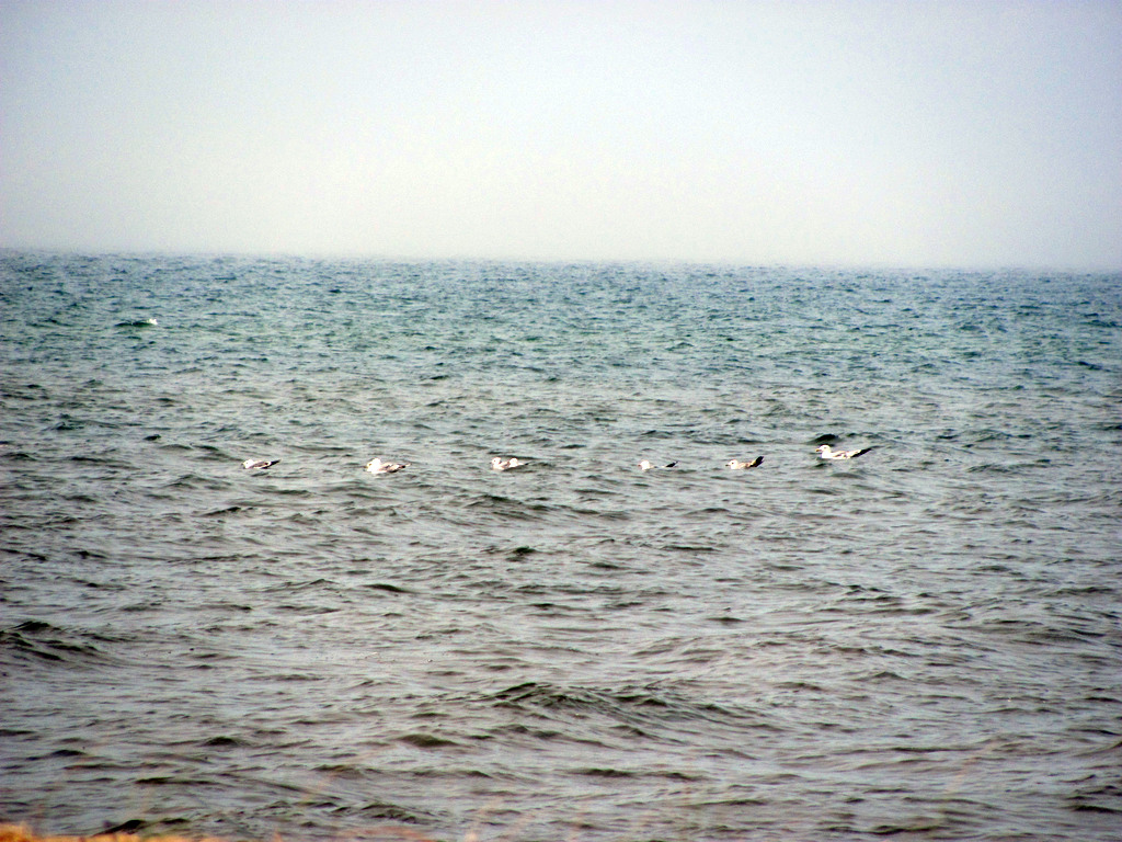 Байкал. Село Сухая. Июль 2010