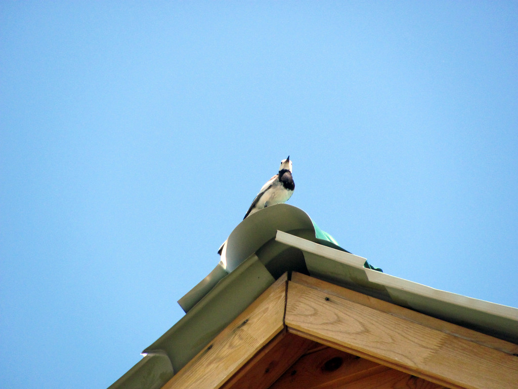 Байкал. Село Сухая. Июль 2010