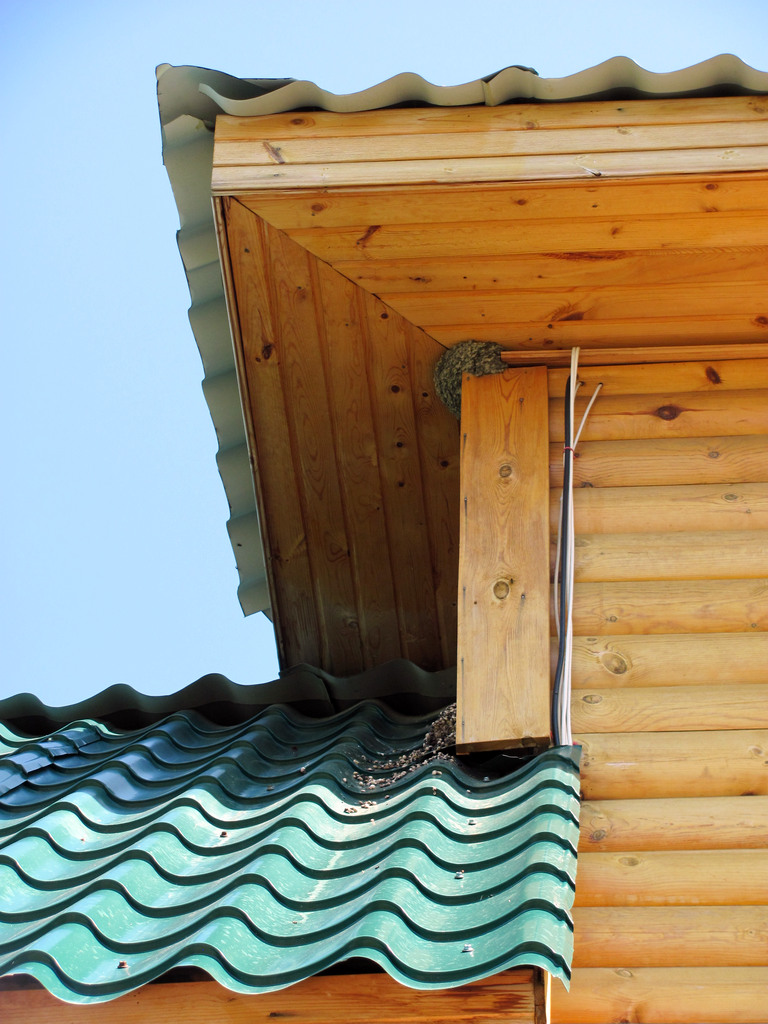 Байкал. Село Сухая. Июль 2010