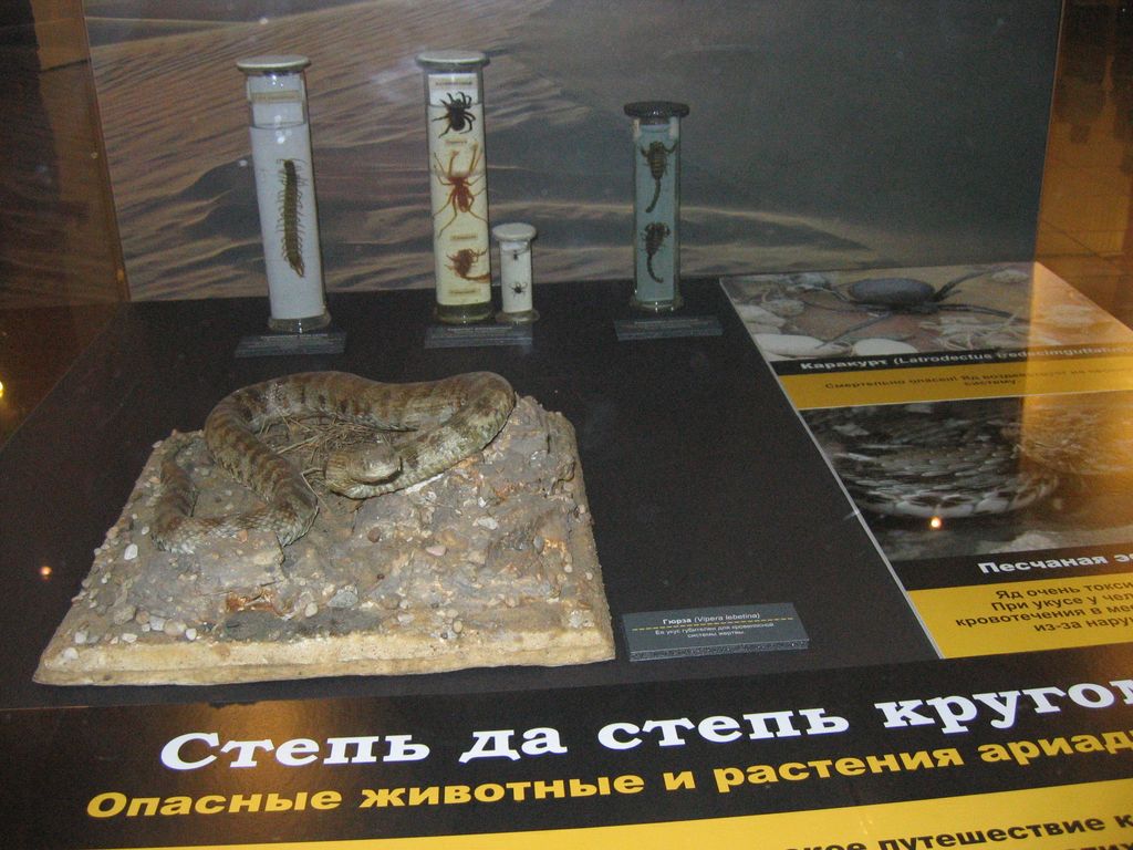 Дарвиновский музей