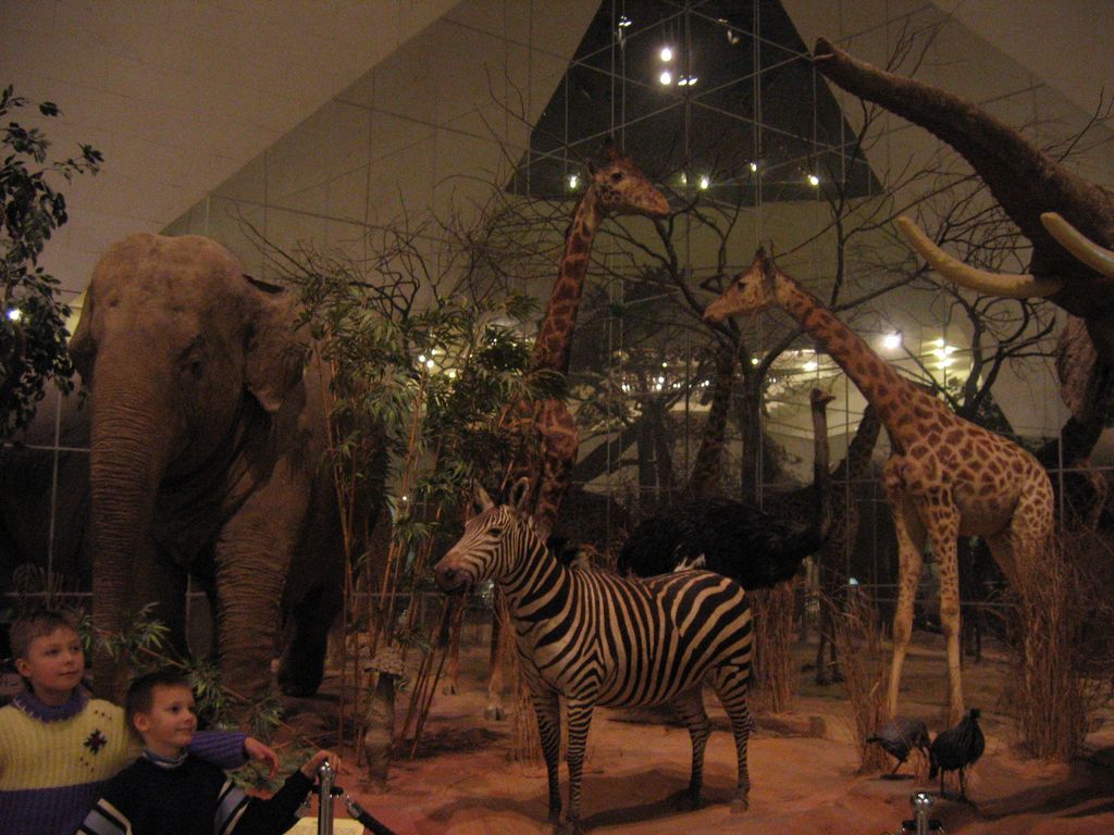 Дарвиновский музей