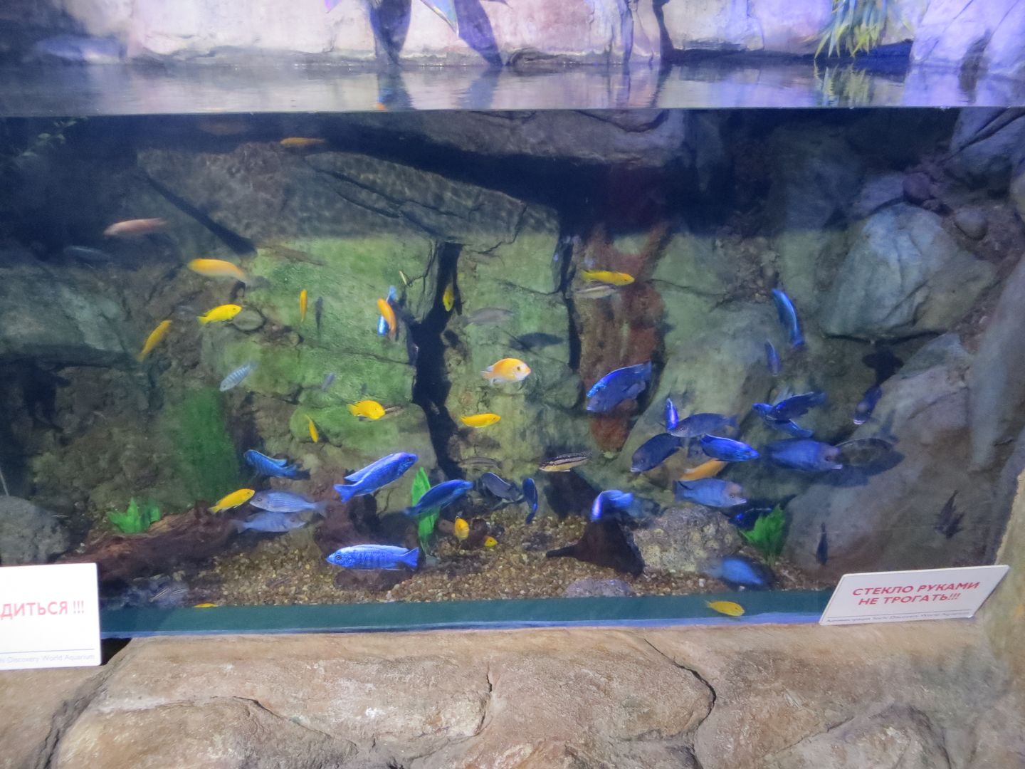 Формула 1 в Сочи 2014