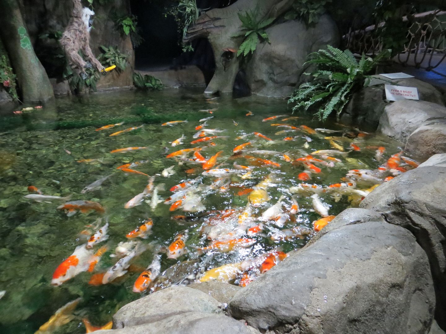 Формула 1 в Сочи 2014